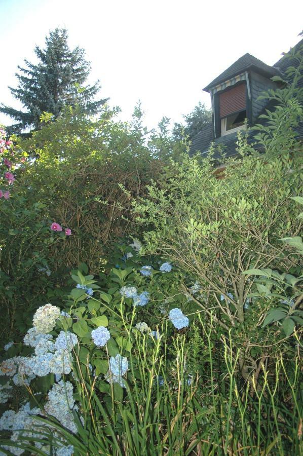 La Demeure Aux Pins Bed & Breakfast Lourdes Eksteriør bilde